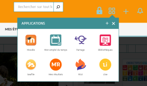 Capture illustrant le lanceur d'application de Ernest ouvert et contenant une icône Moodle.