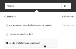 Capture illustrant une recherche sur le terme moodle dans Ernest et indiquant l'item à sélectionner.